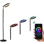 Smart WiFi Ring Floor Lamp